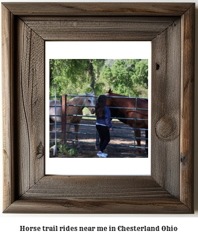 horse trail rides near me in Chesterland, Ohio